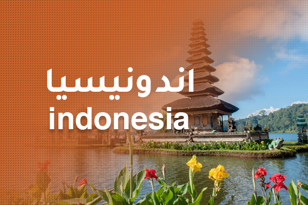 فيزا ( عادية )